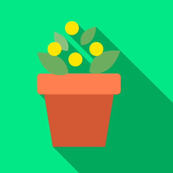 SYNAQ’s email branding service helps you grow an engaging brand